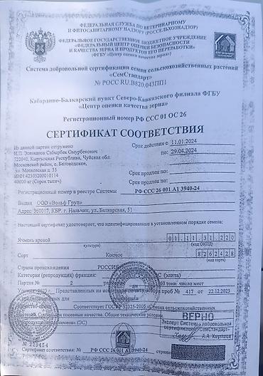 Зерновые культуры: Яровой ячмень, сорт „Космос " второй репродукции. Урожай 2025 — 7