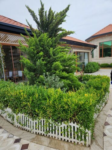 Bağ evlərinin kirayəsi: Şüvəlan qəs., 195 kv. m, 4 otaqlı, Hovuzlu, Qaz, İşıq, Artezian quyusu -da lalafo.az — 14 Bağ evlərinin kirayəsi: Şüvəlan qəs., 195 kv. m, 4 otaqlı, Hovuzlu, Qaz, İşıq, Artezian quyusu — 14