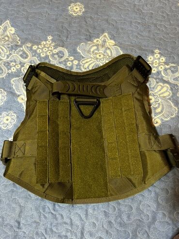 Xaltalar, qayışlar və tasmalar: İt aksesuarları dəsti, tek tek qiymetler qeyd edilib endirim yoxdur — 3