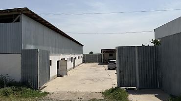 Продажа сельхоз предприятий: Кошара, 60 соток — 2