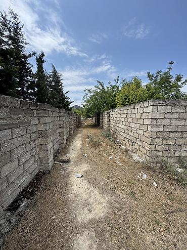 samaxida torpaq sahesi satilir: 4 sot, Tikinti, Mülkiyyətçi, Kupça (Çıxarış) — 1