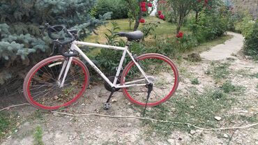 шоссейный велосипед pinarello: Продаю свой шоссейник. Шоссейный велосипед, колесо 28, 21 скоростей