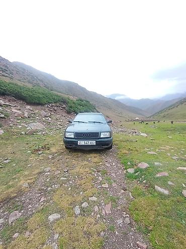 кпп тди: Audi 100: 1992 г., 0.2 - engine capacity л, Кол менен иштөөчү, Бензин, Седан — 3
