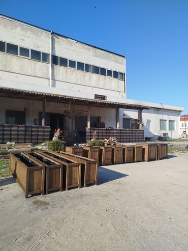 Bitkilər üçün dibçəklər: Dipceler bir başa sexdən.Sex qiymətinə. ♦️Endrim mart ayı ▶️İstenilən -da lalafo.az — 10 Bitkilər üçün dibçəklər: Dipceler bir başa sexdən.Sex qiymətinə. ♦️Endrim mart ayı ▶️İstenilən — 10