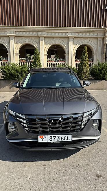 незамерзайка для машины: Hyundai Tucson: 2022 г., 1.6 л, Автомат, Гибрид, Кроссовер — 1