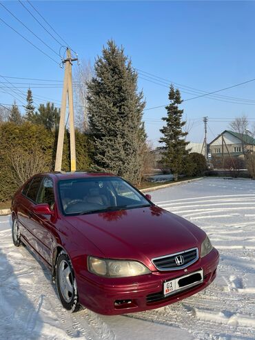 зимный: Honda Accord: 2001 г., 2 л, Автомат, Газ, Седан