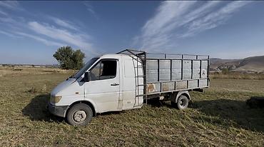 ом 606: Грузовик, Mercedes-Benz, Стандарт, Б/у — 2