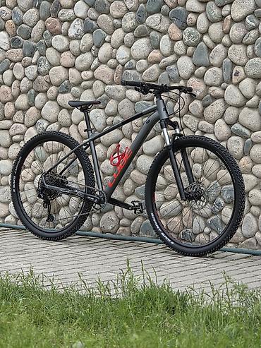 Горные велосипеды: Горный велосипед, Cube, Рама L (172 - 185 см), Алюминий, Б/у — 1