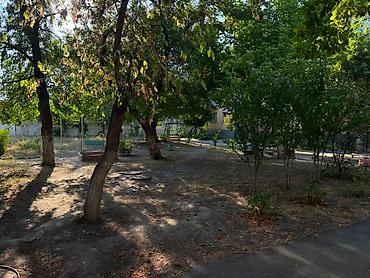 60: 2 комнаты, 49 м², Физприборы Хрущевка, 2 этаж, Свежий ремонт — 8
