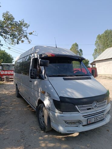 Mercedes-Benz: Mercedes-Benz Sprinter: 2002 г., 2.9 л, Механика, Дизель, Бус