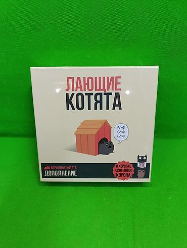 🐱 «Лающие котята» — ещё больше веселья и неожиданных поворотов! 🎉 🔥