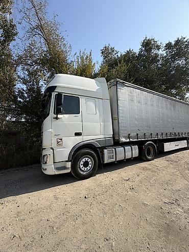 хово 2026: Тягач, DAF, Шторный — 4