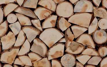 дрова в токмоке: Дрова Дуб, Самовывоз, Платная доставка