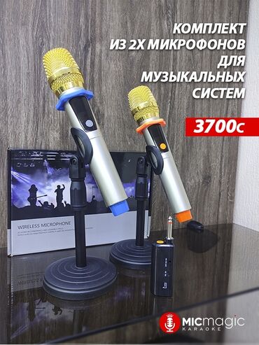 купить беспроводной микрофон для караоке: КОМПЛЕКТ ИЗ ДВУХ БЕСПРОВОДНЫХ МИКРОФОНОВ ДЛЯ МУЗЫКАЛЬНЫХ ЦЕНТРОВ И
