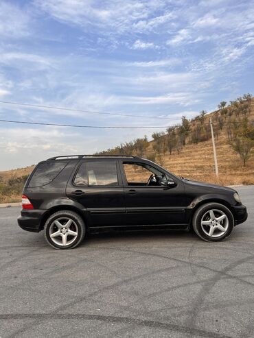 лупарик цена: Mercedes-Benz ML 320: 2002 г., 3.2 л, Автомат, Бензин, Внедорожник