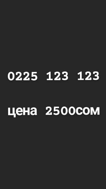 вип бишкек билайн: 0225 123 123 билайн