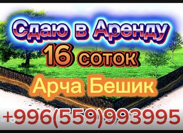 цокольное помещение аренда: 16 соток Бизнес үчүн, Газ, Электр энергиясы, Суу
