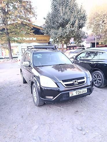 спойлер crv: Honda CR-V: 2003 г., 2.4 л, Автомат, Бензин, Кроссовер — 1