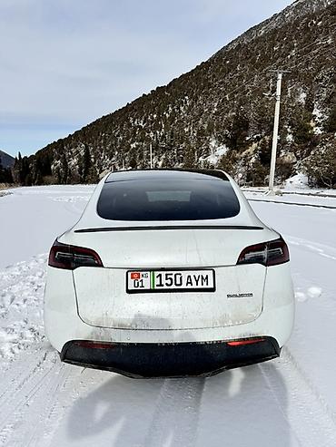 Tesla: Tesla Model Y: 2022 г., 4.4 л, Автомат, Электромобиль, Кроссовер — 3