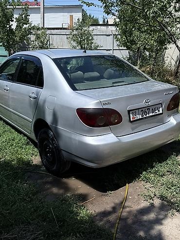 тайлта карола: Toyota Corolla: 2005 г., 1.8 л, Автомат, Бензин, Седан — 2