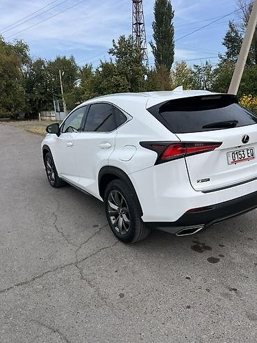 Lexus: Lexus NX: 2020 г., 2 л, Автомат, Бензин, Кроссовер — 5