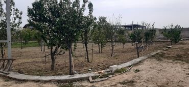 buzovnada torpaq satisi: 5 соток, Для строительства, Купчая