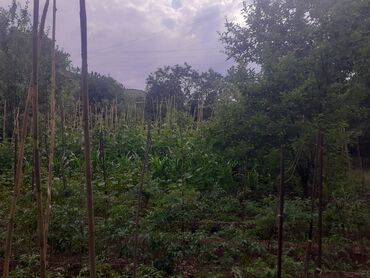 Torpaq sahələrinin satışı: 6 sot, Tikinti, Makler, Kupça (Çıxarış) — 7