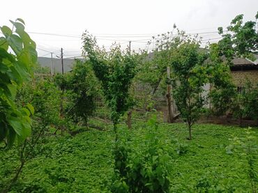 Həyət evləri və villaların satışı: 5 otaqlı, 140 kv. m, Orta təmir — 22