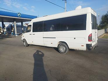 короткий спринтер: Mercedes-Benz Спринтер: 2003 г., 2.9 л, Механика, Дизель, Бус — 3