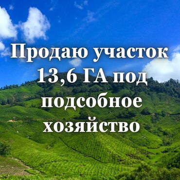 продаю сельхоз землю: 1360 соток, Для сельского хозяйства