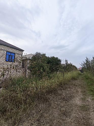 7 ci mikrorayon yeni tikili: 12 sot, Kənd təsərrüfatı, Barter mümkündür, Kupça (Çıxarış) — 6
