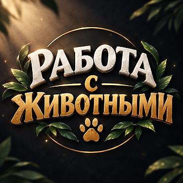 робота с проживания: 🐾 МЫ ИЩЕМ СОТРУДНИКОВ В НАШУ КОМАНДУ! 🐢🦚 Если вы ответственный — 1