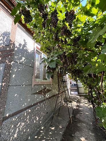 Продажа коттеджей и домов: 4 комнаты, 85 м², Бишкек, Риэлтор — 19