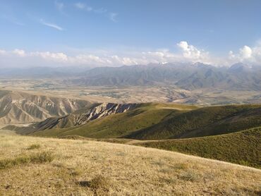ищу работу в балыкчы: Требуется Разнорабочий, Оплата Ежемесячно, 1-2 года опыта