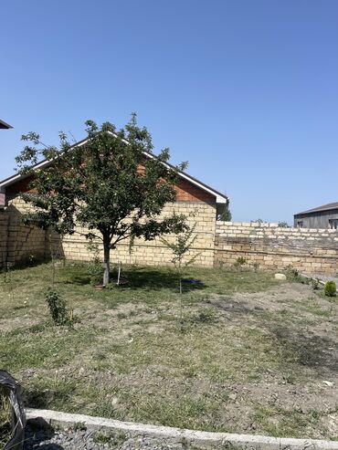 аренда дачи посуточно: 80 kv. m, 3 otaqlı, Hovuzlu, Kombi, Qaz, İşıq