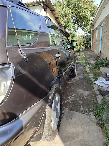 Lexus: Lexus RX: 2002 г., 3 л, Автомат, Внедорожник — 2