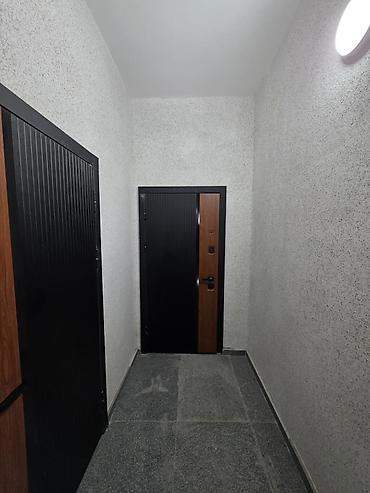 18: 1 комната, 43 м², Таатан ТЦ Элитка, 1 этаж, ПСО (под самоотделку) — 1