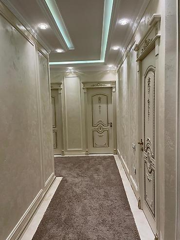 avto karavan: 5 otaqlı, Yeni tikili, 301 kv. m — 5