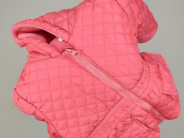 pull and bear sweter w paski: Kurtka, Pepco, 9-12 miesięcy, stan - Bardzo dobry — 6