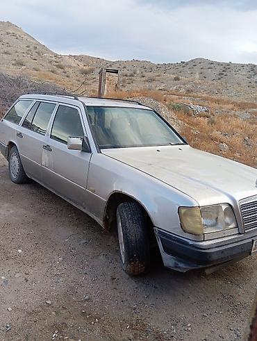Mercedes-Benz E-Class: 1993 г., 3.2 л, Автомат, Бензин, Универсал