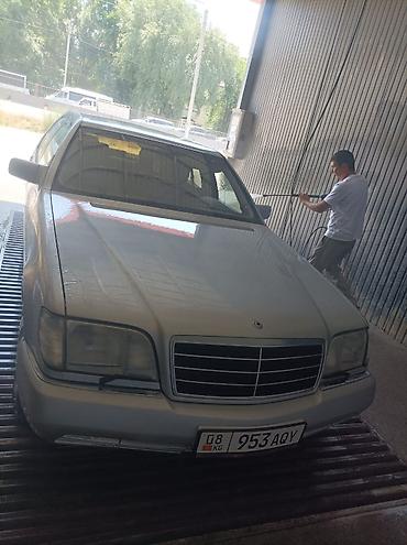 daewoo lanos 1: Mercedes-Benz S-Class: 1991 г., 4.2 л, Автомат, Бензин, Седан — 5