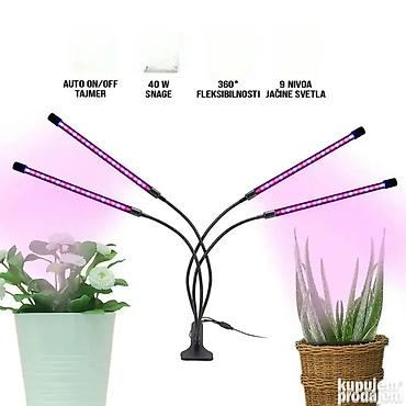 too box: Četvorostruka LED Lampa za Brzi Rast Biljaka Ova LED lampa je idealna — 1