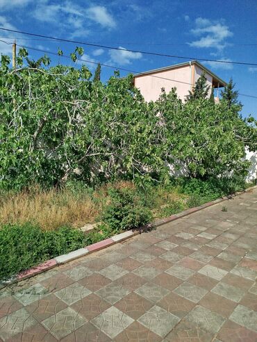 inşaatçılar metrosu həyət evləri: 3 otaqlı, 65 kv. m, Kredit yoxdur, Orta təmir
