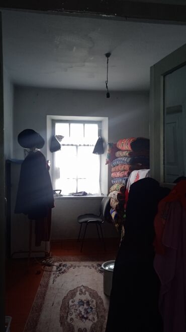 Другие комнатные растения: Талас шаары Танабаев 265кочосу техникумдун аркасында жайгашкан — 2