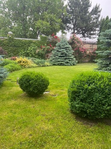 Продажа домов: Дом, 500 м², 7 комнат, Агентство недвижимости — 3