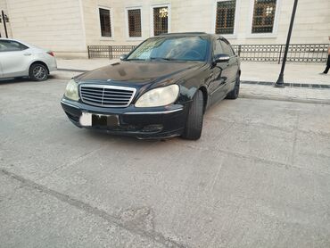 американская короткошёрстная кошка купить: Mercedes-Benz S-Class: 2004 г., 3.7 л, Автомат, Газ, Седан