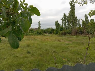 Torpaq sahələrinin satışı: Tikinti — 11