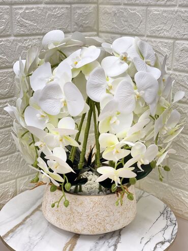 декор для офиса: Имитация цветов Фаленопсис Имитация горшков с орхидеями Новая