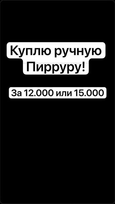 посуда для кошек: Могу сам приехать и забрать! Главное чтоб была ручная и не больше года