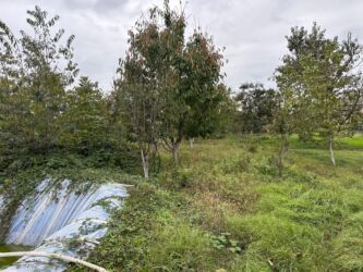 Bağ evlərinin satışı: Xaçmaz, 120 kv. m, 5 otaqlı, Hovuzsuz, Artezian quyusu, İnternet, Telefon — 11